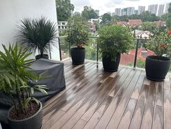 Verdure (D10), Condominium #585531641